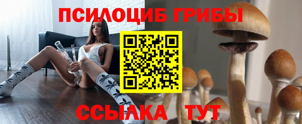 Галлюциногенные грибы прущие грибы Сосновый Бор